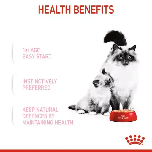 Royal Canin Mother & Baby Cat Ultra Soft Mouse 100gr Wet Makanan Anak & Induk Kucing - Feline Health Nutrition