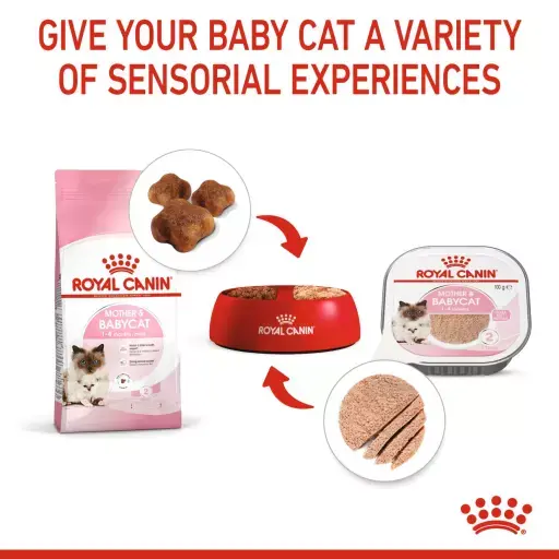 Royal Canin Mother & Baby Cat Ultra Soft Mouse 100gr Wet Makanan Anak & Induk Kucing - Feline Health Nutrition